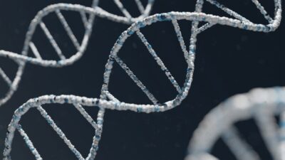 DNA e dati biologici per la ricerca sull’invecchiamento con intelligenza artificiale