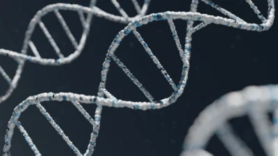DNA e dati biologici per la ricerca sull’invecchiamento con intelligenza artificiale