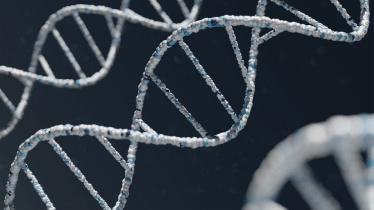 DNA e dati biologici per la ricerca sull’invecchiamento con intelligenza artificiale